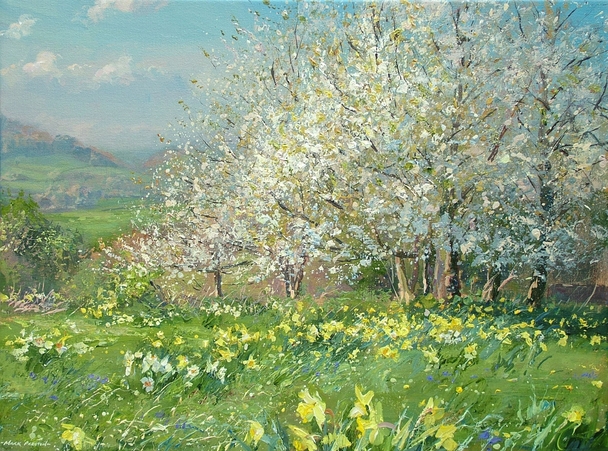 MARK PRESTON - daffodils and wild cherry blossom, ashleyhay